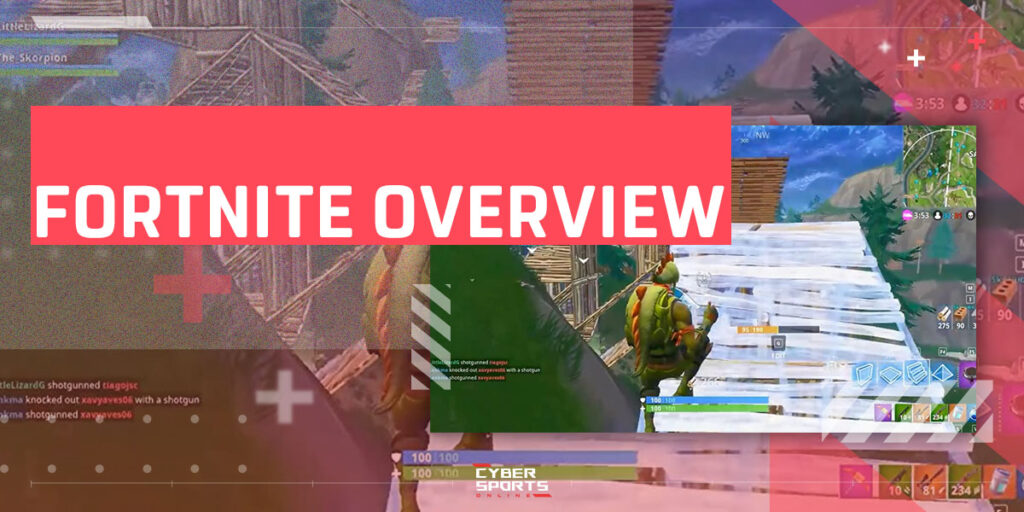 Fortnite Overview