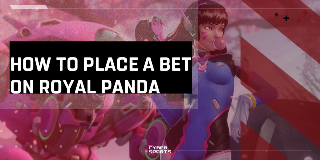 How to Place a Bet on Royal Panda